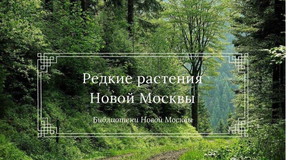 Краеведческий понедельник  — Редкие растения Новой Москвы