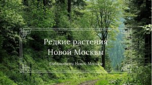 Краеведческий понедельник  — Редкие растения Новой Москвы