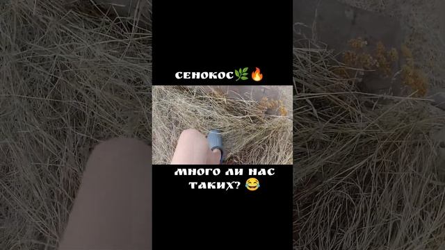 Много ли нас таких? Напишите в комментариях