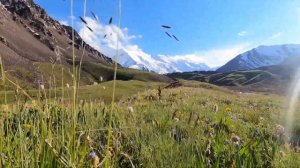 Горный поход по Северо-Восточному Памиру, группа Ильи Овчинникова