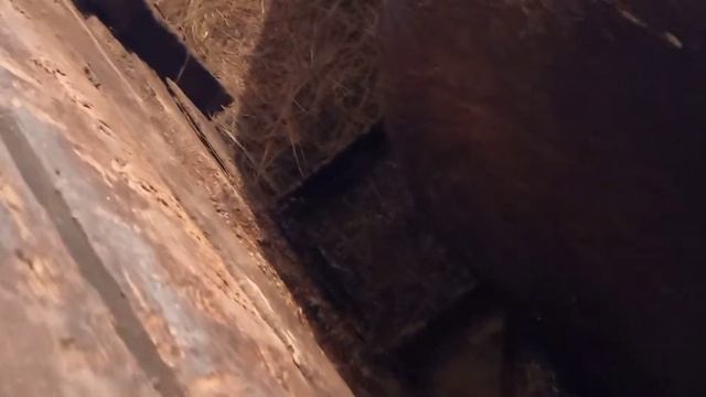 Деревенский релакс лучше и быть не может крепкий мороз и ветер 24м в секунду.Погода просто шикарная
