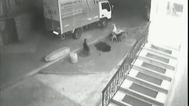 Кошки против Собак (18+) смотреть онлайн