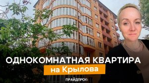 Уютная и светлая однокомнатная квартира в центре города