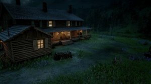 Гроза с молнией и дождь с ветром в лесной фазенде