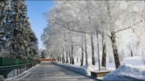 20 декабря - Амвросимов день. Приметы