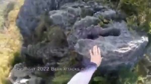 Альпинист отбился от медведя на горе Футаго в Японии.