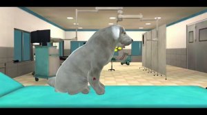 Pet Vet Hospital Simulator - Doctor Care All Levels