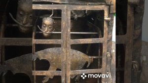 Зимний сад в Кремлёвском дворце . 12.12.2024 г. Москва .