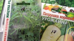 И снова в огород,а за окном ноябрь.