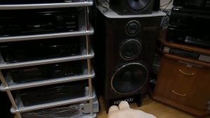 Kenwood LS-990HG and Kenwood LS-11EX