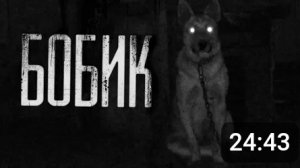 Бобик..... Страшные истории на ночь.