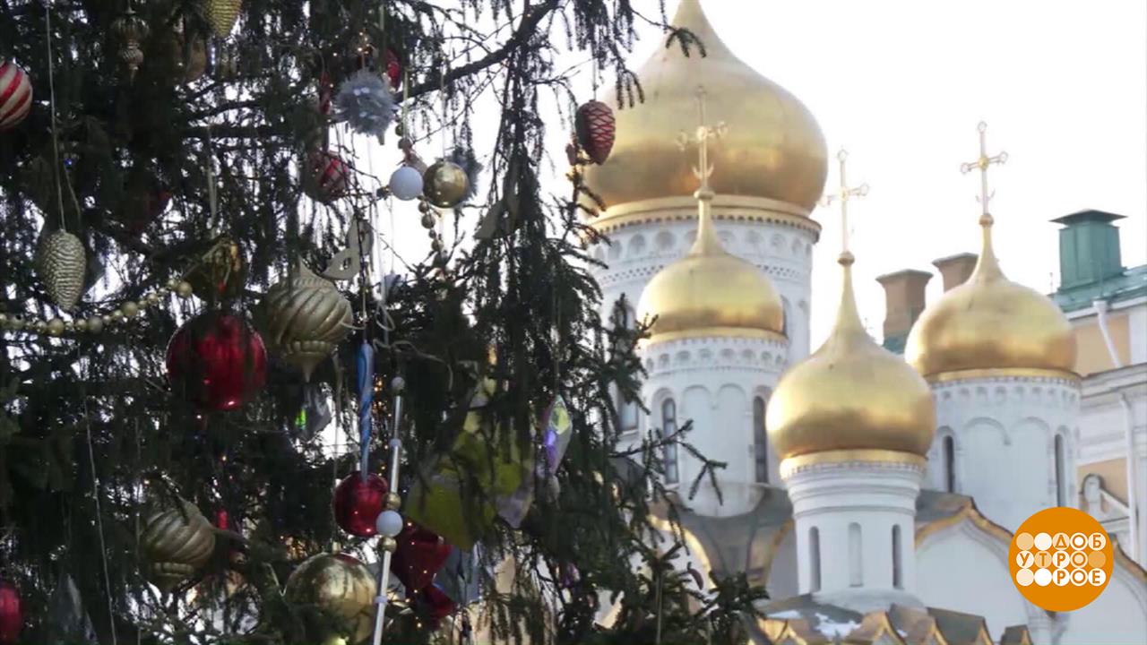 Елочка или пихточка? Главное, чтобы радовала! Доброе утро. Фрагмент выпуска от 20.12.2024