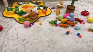 Как Чихуахуа Мия 🐶 наблюдает за игрушкой Заяц - Колобок 😍.