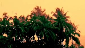 Главное ребята сердцем не стареть!