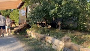 Наш отдых в Геленджике