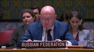 Point of order by PR Vassily Nebenzia at a UNSC Briefing on Nonproliferation and the DPRC