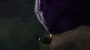 Phantom Sonic vs Chaos Sonic