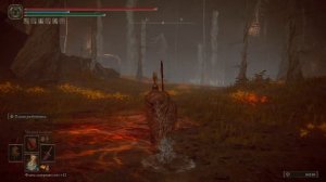 Elden Ring (Часть 81. Лес бездны)