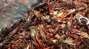 Отдых в Шанхае. / Супермаркет в Шанхае \ Supermarket in Shanghai.