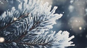 Интересные истории - Истинная любовь – не в лице, а в сердце....