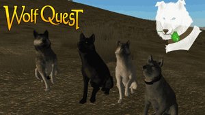 WolfQuest: Classic со стаей Sunny Age | Стрим