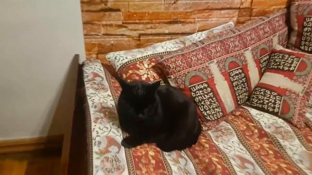 Влог: Насыщенный День из Жизни + Как Я занимаюсь Английским