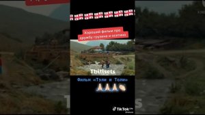 ТЕЛИ И ТОЛИ