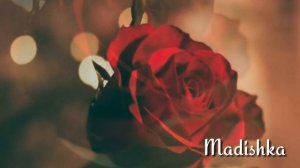 Радима Хаджимурадова 😍❤- Са Безам Гойла 2019 💣💥❤