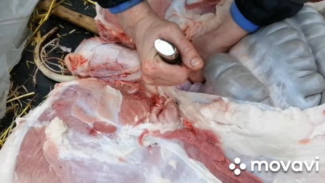 Разделка свинки, нож С. Тихонова. смотреть онлайн