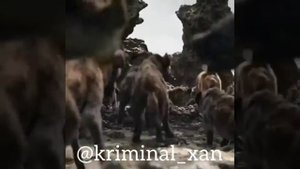 Лев должен быть Львом