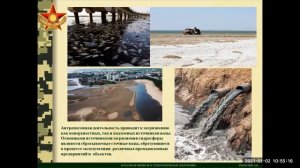 Экологическая безопасность.