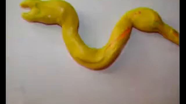 сердце