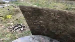 Быстро, полезно, вкусно. Как кормить пса куриными лапками.