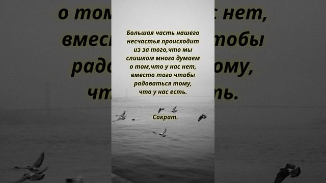 Невероятно Мудро! Избранные Цитаты о Мудрости Жизни Великих Людей Со Смыслом.Афоризмы