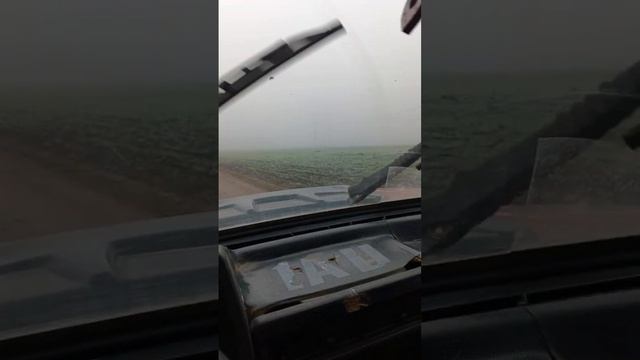 Видео от лица мамы Туман и слякоть ТГК - DanilaFermer #shorts #niva #поля #туман #слякоть #втоп