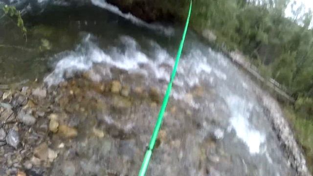 В тайгу за хариусом р. Горемыка. Часть 6. В такой маленькой яме , такой большой хариус.