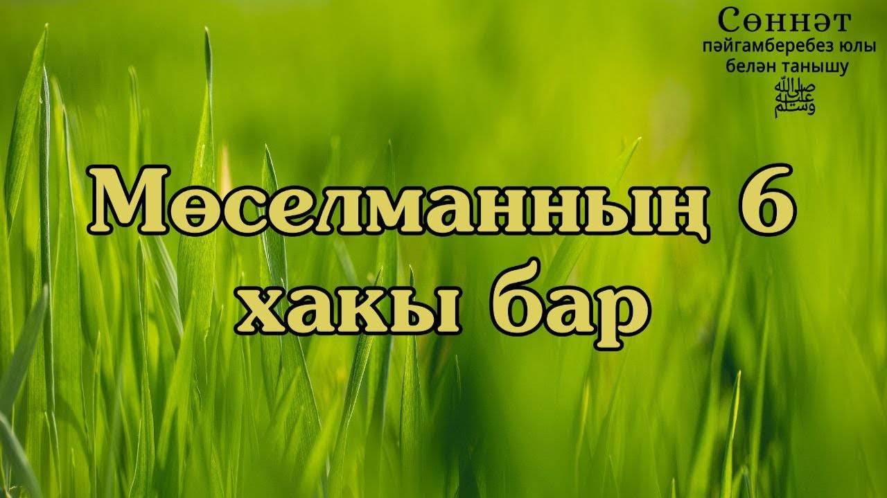 Мөселманның 6 хакы бар | Рамил Гәйнетдинов
