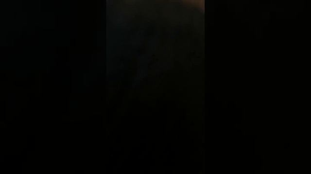 как собака друга реагирует на его 'смерть' смотреть онлайн