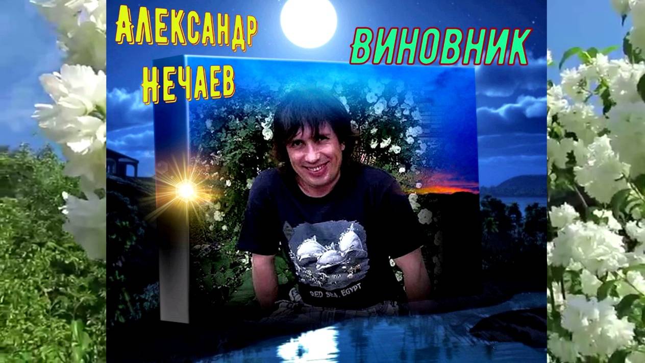 Александр Нечаев / Валерий Леонтьев Виновник