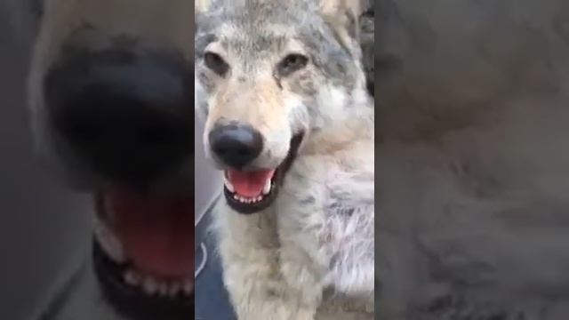 6 марта 2021 г. смотреть онлайн