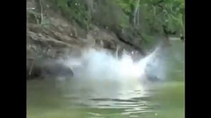 Парень против крокодила