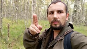 животные вид какать 💩💩🦌🦌🐻🐻