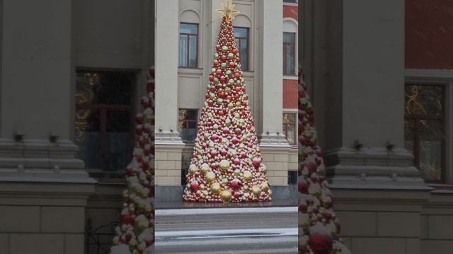 Красиво украшенные ели у здания Правительства Москвы 🎄