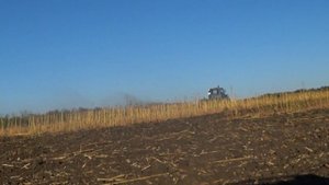 дискование подсолнечника