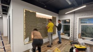 ECO-STORE Картина из cтабилизированного мха + неоновая подсветка + логотип