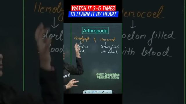 Meaning Of Hemolymph & Hemocoel |QuickShot Biology| #neet #ncert #biology #neet2024 #neetpreparatio
