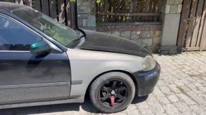 В Грузию на автомобиле с собаками (2-я часть)