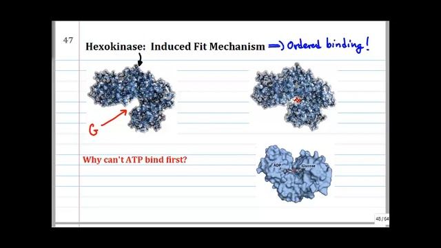 530 11617 lecture смотреть онлайн