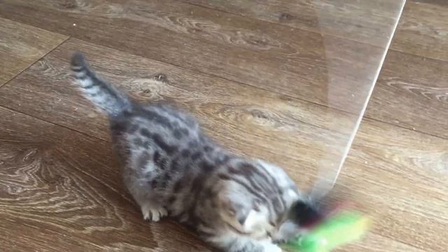 IMG 78541 смотреть онлайн