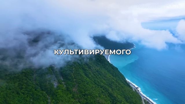 Способ Исполнения Любого Желания, Который Работает МГНОВЕННО!